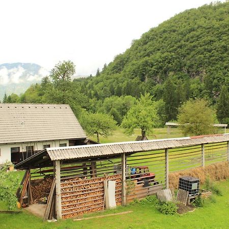 Apartments Villa Dov ボーヒニ エクステリア 写真