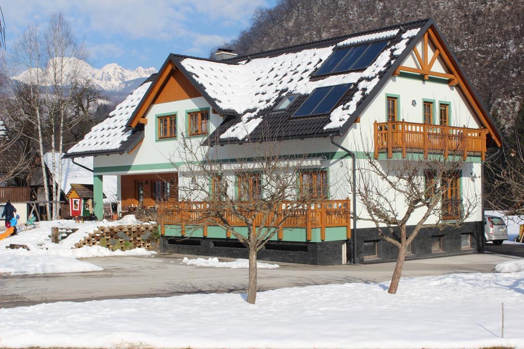 Apartments Villa Dov ボーヒニ エクステリア 写真