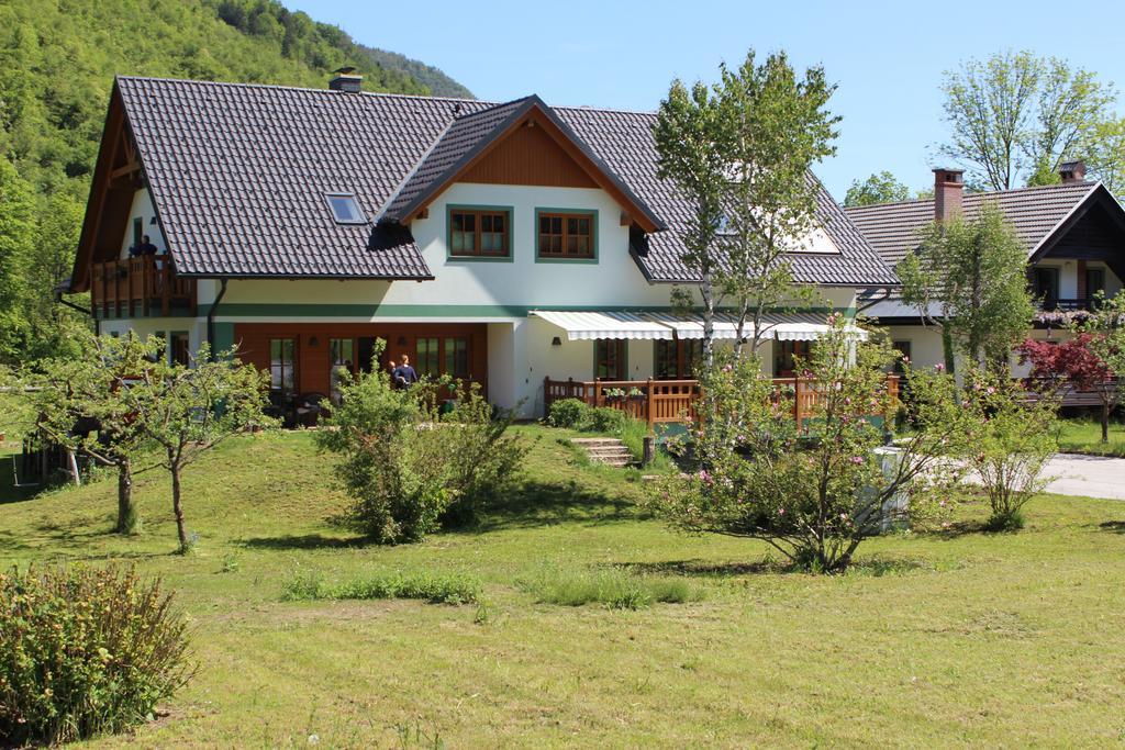 Apartments Villa Dov ボーヒニ エクステリア 写真